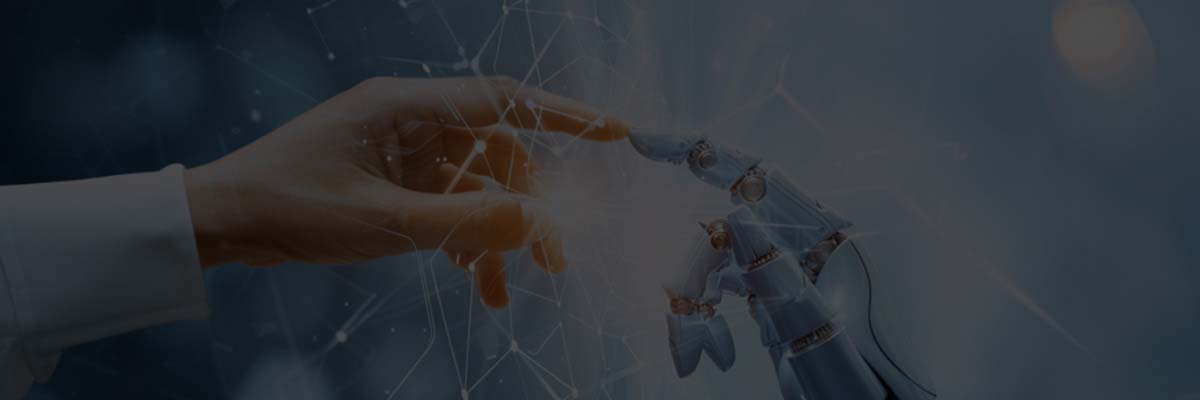 سياسة الخصوصية