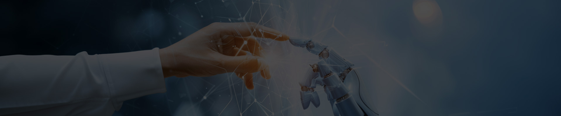 سياسة الخصوصية