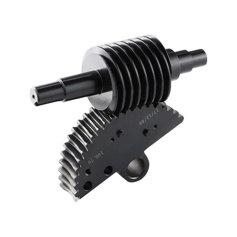 عرض خاص: تروس حلزونية لآلات تصنيع الأغذية، عجلة دودة، ترس دودي